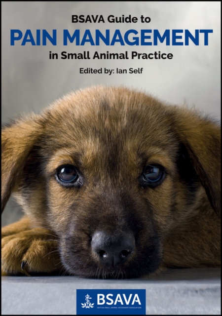 BSAVA Guide to Pain Management in Small Animal Practice, Paperback / softback Book