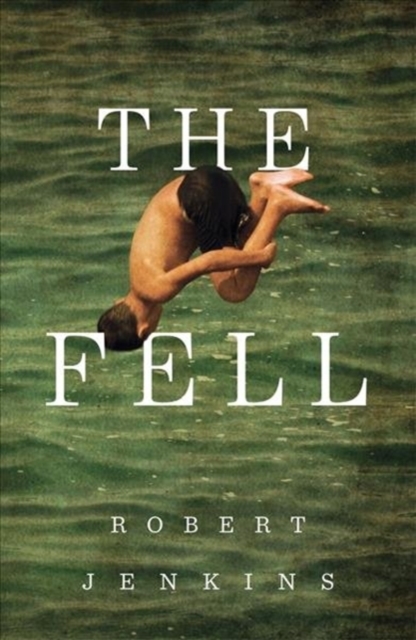 the fell by robert jenkins