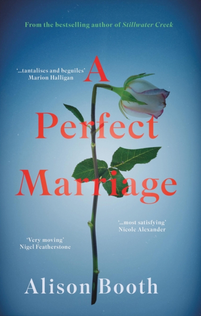 Perfect Marriage, EPUB eBook