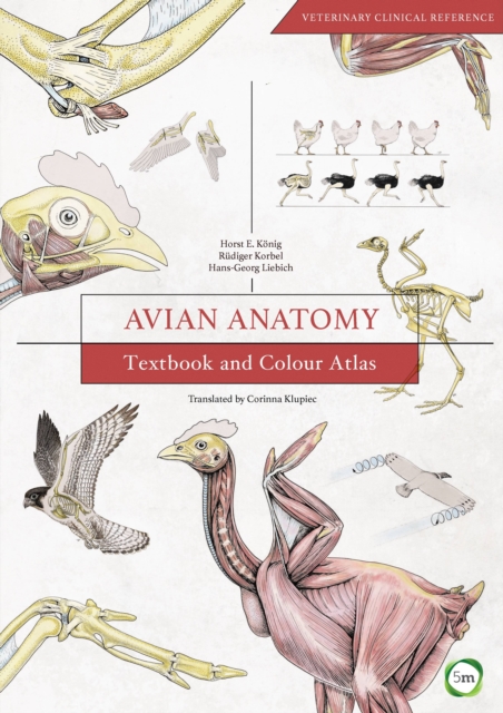 Avian Anatomy 2nd Edition: Textbook and Colour Atlas, Hardback Book
