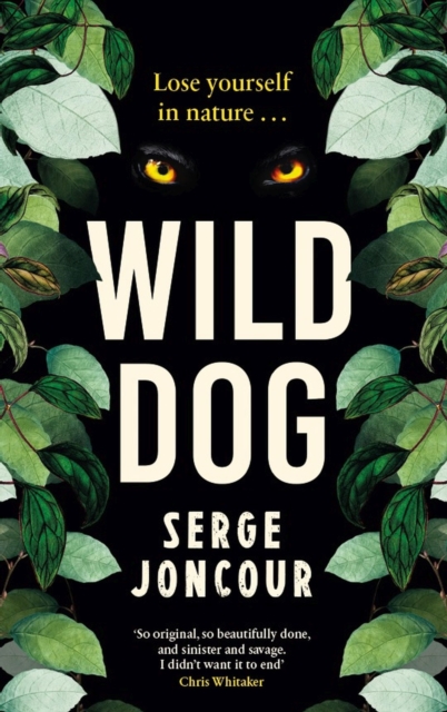 Wild Dog: Sinister and savage psychological thriller, Paperback / softback Book