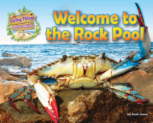 Welcome to the Rock Pool, Paperback / softback Book