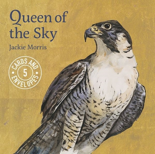 Jackie Morris Queen of the Sky Cards Pack 1, Record book Book