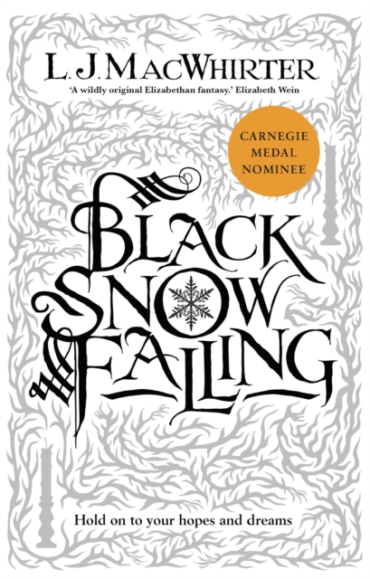 Black Snow Falling, Hardback Book