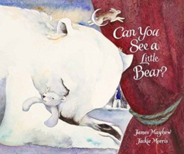 Can You See a Little Bear?, Hardback Book
