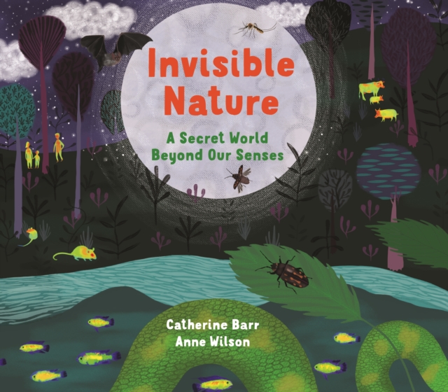 Invisible Nature : A Secret World Beyond our Senses, Hardback Book