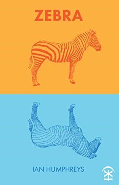 Zebra, Paperback / softback Book