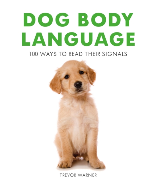 Dog Body Language : 100 Ways To Read Their Signals, Paperback / softback Book