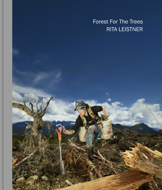 Forest For The Trees, Hardback Book