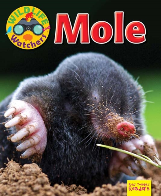 Wildlife Watchers: Mole, Paperback / softback Book
