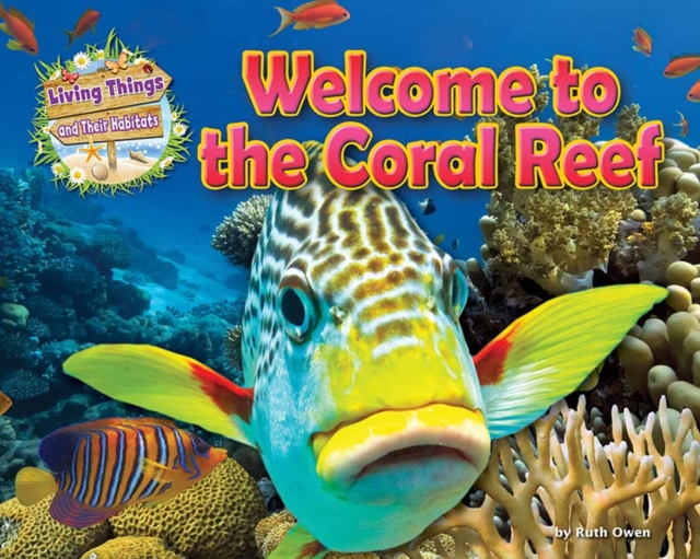 Welcome to the Coral Reef, Paperback / softback Book