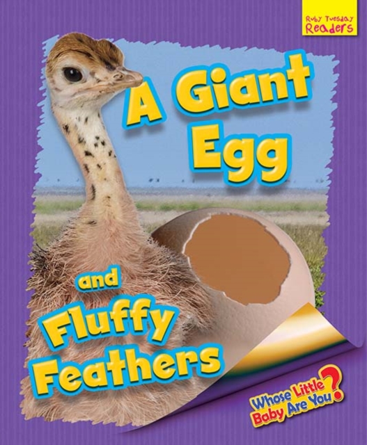 Whose Little Baby Are You? A Giant Egg and Fluffy Feathers, Paperback / softback Book