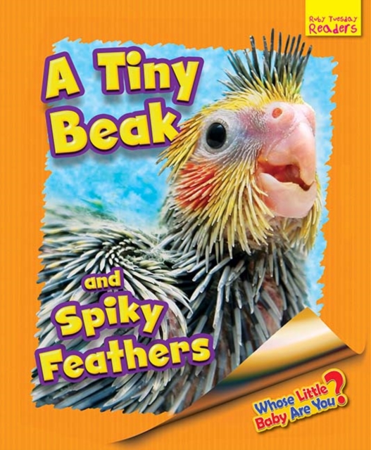 Whose Little Baby Are You? A Tiny Beak and Spiky Feathers, Paperback / softback Book