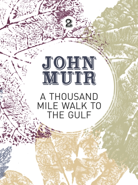 A Thousand-Mile Walk to the Gulf, EPUB eBook