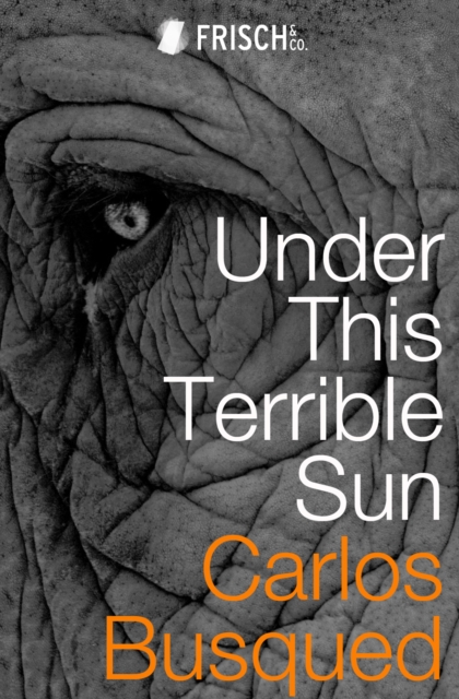 Under This Terrible Sun, EPUB eBook