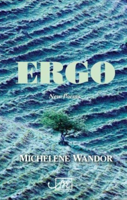 Ergo, Paperback / softback Book