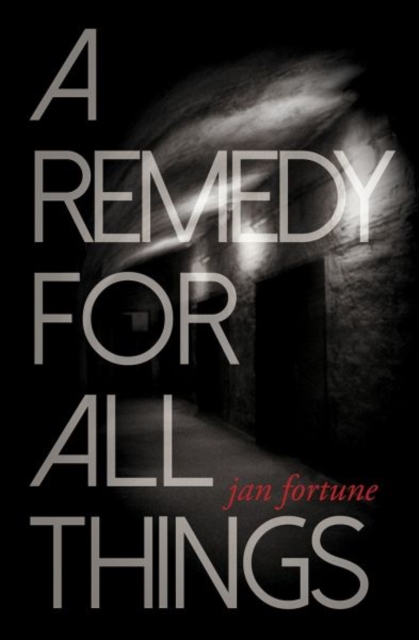 A Remedy for All Things, Paperback / softback Book