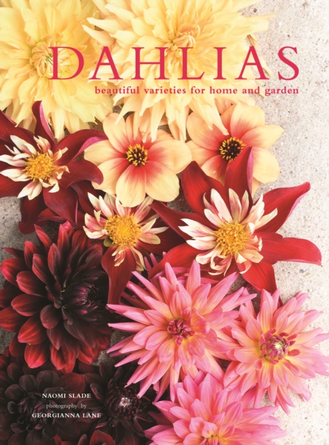 Dahlias : Beautiful varieties for home and garden, Hardback Book