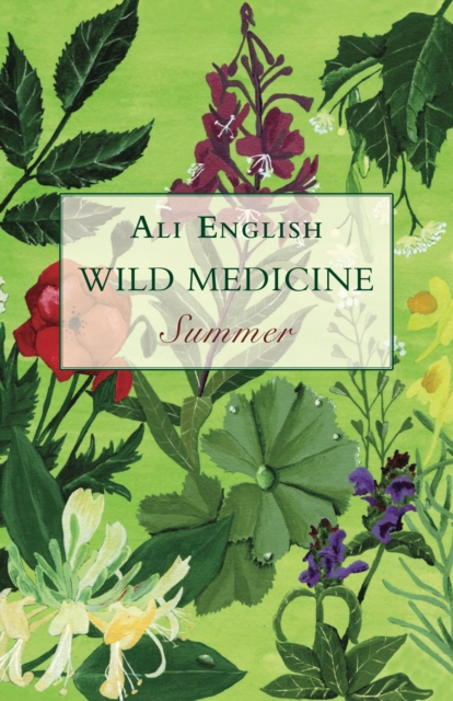 Wild Medicine, Summer : Summer, Paperback / softback Book