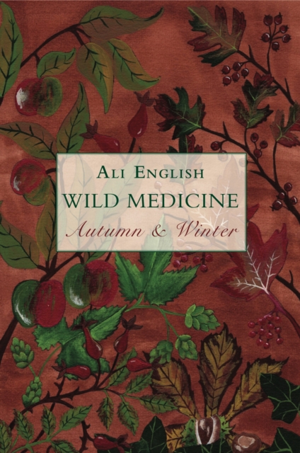 Wild Medicine, Autumn and Winter : Autumn and Winter, Paperback / softback Book
