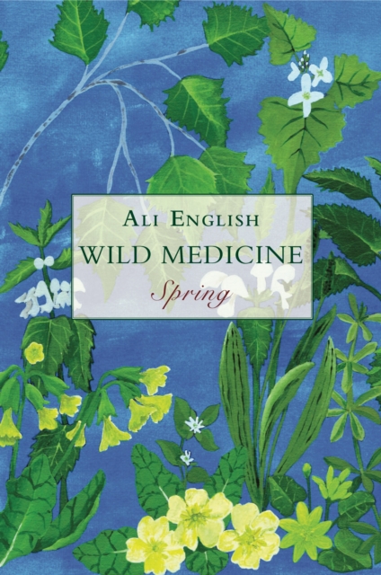 Wild Medicine, Spring : Spring, Paperback / softback Book
