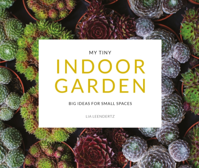 My Tiny Indoor Garden : Big ideas for small spaces, Paperback / softback Book