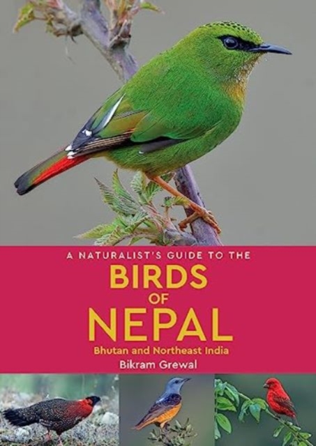 A Naturalist's Guide to the Birds of Nepal, Paperback / softback Book