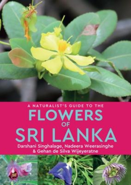 A Naturalist’s Guide to the Flowers of Sri Lanka, Paperback / softback Book