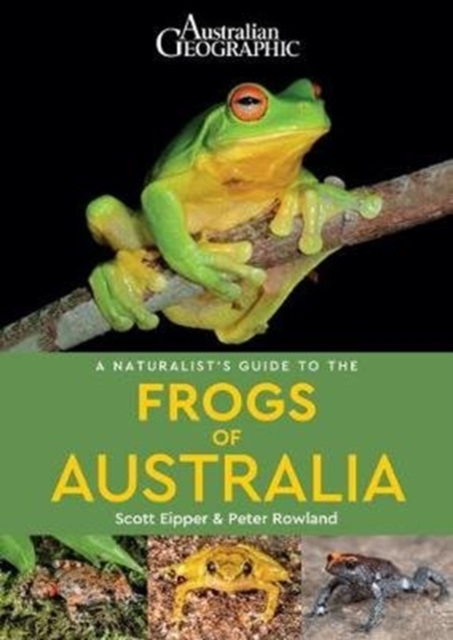 A Naturalist's Guide to the Frogs of Australia, Paperback / softback Book