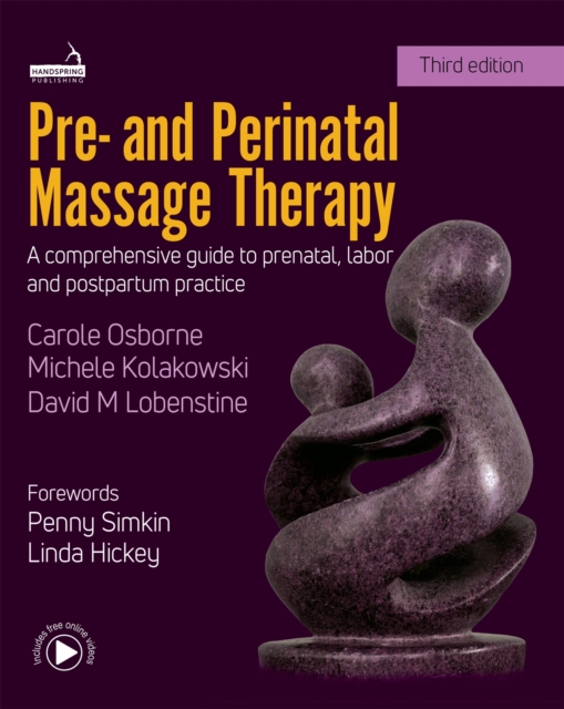 Pre- And Perinatal Massage Therapy : A Comprehensive Guide to Prenatal, Labor and Postpartum Practice, Paperback / softback Book