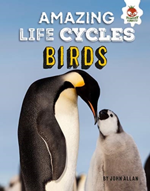 Birds - Amazing Life Cycles, Hardback Book