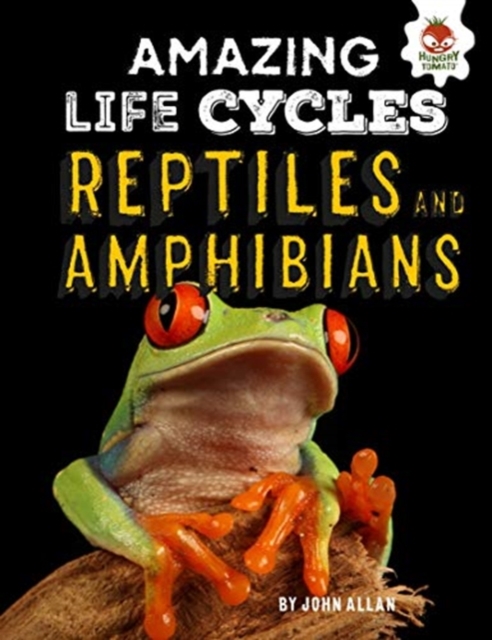 Reptiles and Amphibians - Amazing Life Cycles, Hardback Book