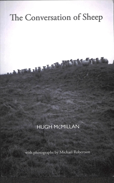 The Conversation of Sheep, Paperback / softback Book