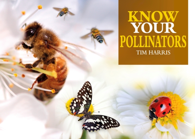 Know Your Pollinators, Paperback / softback Book