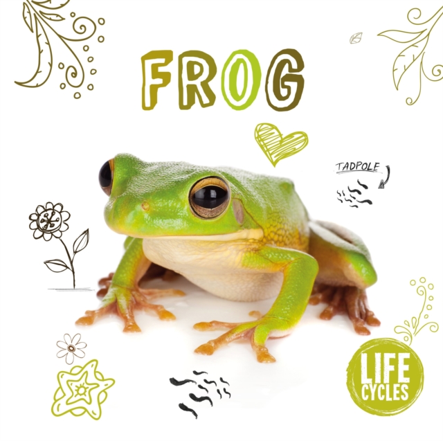 Frog, Paperback / softback Book
