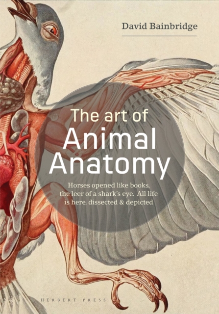 The Art of Animal Anatomy : All Life is Here, Dissected and Depicted, Paperback / softback Book