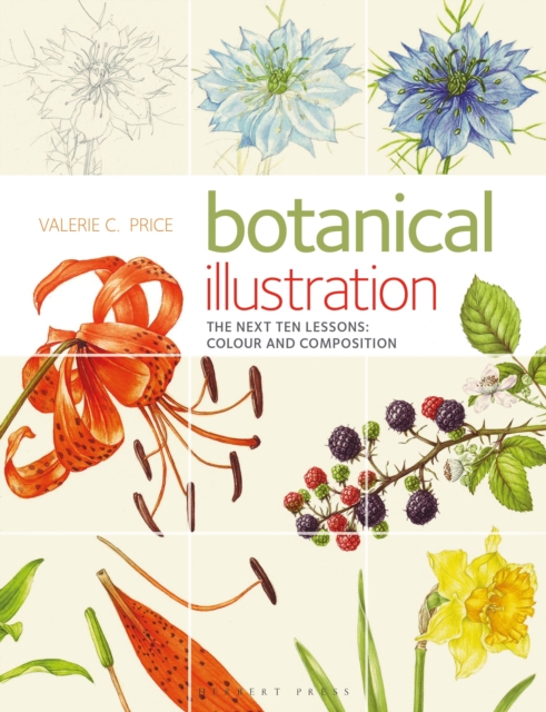 Botanical Illustration : The Next Ten Lessons: Colour and Composition, Paperback / softback Book