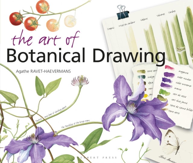 The Art of Botanical Drawing, Paperback / softback Book