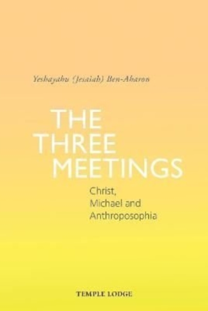 The Three Meetings : Christ, Michael and Anthroposophia, Paperback / softback Book
