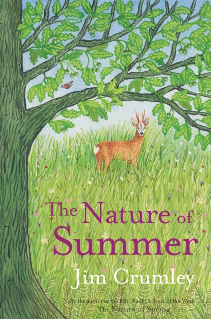 The Nature of Summer, Hardback Book