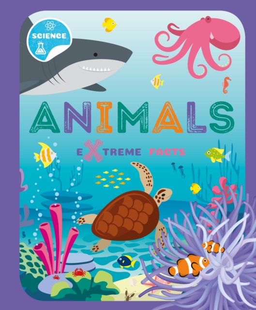 Animals, Paperback / softback Book