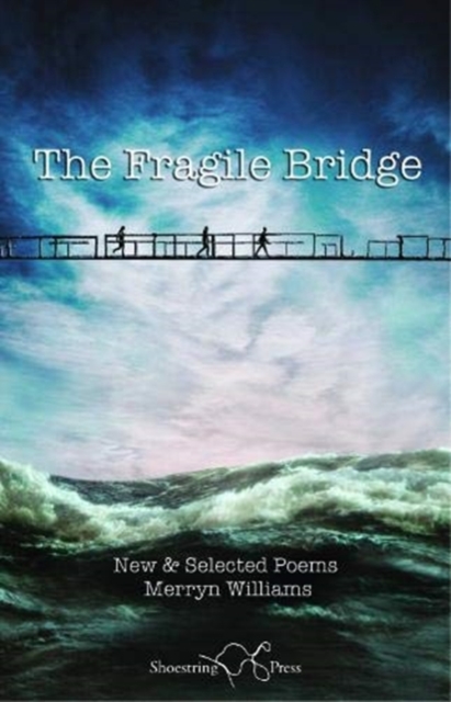 The Fragile Bridge, Paperback / softback Book