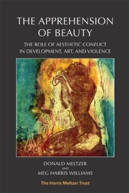 The Apprehension of Beauty : The Role of Aesthetic Conflict in Development, Art and Violence, Paperback / softback Book
