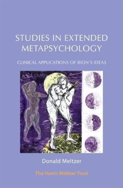 Studies in Extended Metapsychology : Clinical Applications of Bion's Ideas, Paperback / softback Book
