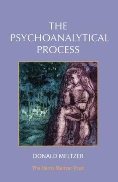 The Psychoanalytical Process, Paperback / softback Book