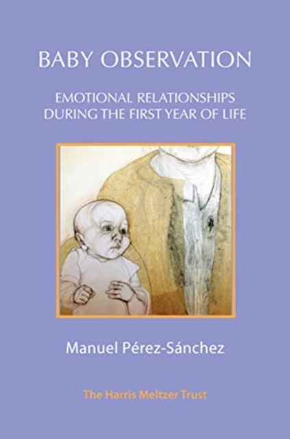 Baby Observation : Emotional Relationships during the First Year of Life, Paperback / softback Book