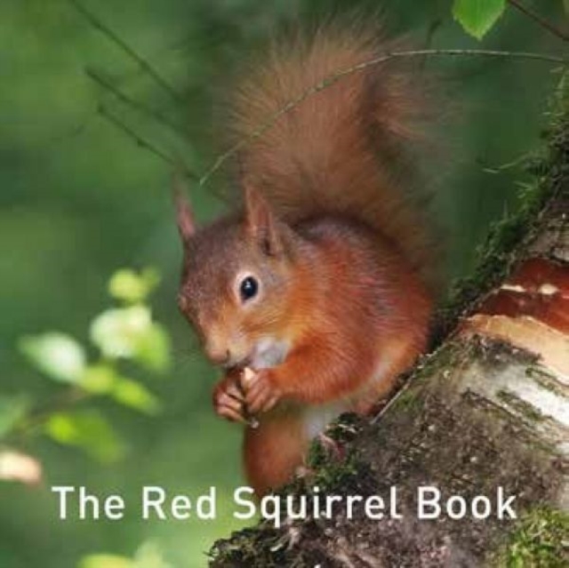 Nature Book Series, The: The Squirrel Book, Hardback Book
