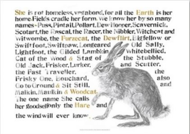 Jackie Morris Poster: Names of the Hare, The, Poster Book