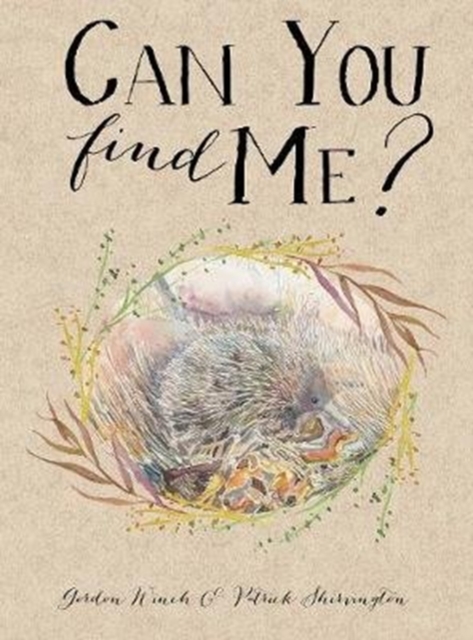 Can You Find Me?, Paperback / softback Book