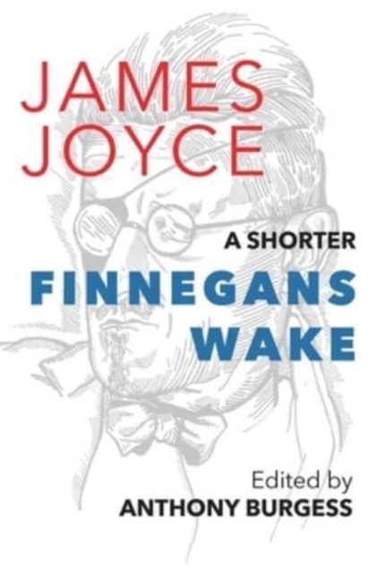 A Shorter Finnegans Wake, Paperback / softback Book
